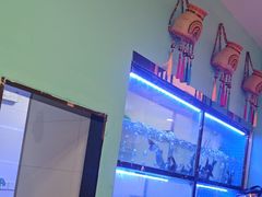 -云中鱼蒸汽石锅鱼(川沙百联店)