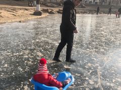 -丁香湖公园
