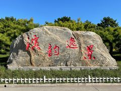 -塘沽森林公园