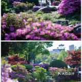 游宁波「景」令人流连忘返富有历史底蕴和人文景观的城市湖泊公园