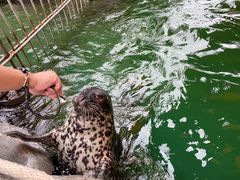 -华夏文旅海洋公园