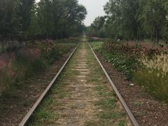 -永定河休闲森林公园