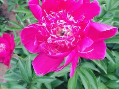 -济南国际园博园