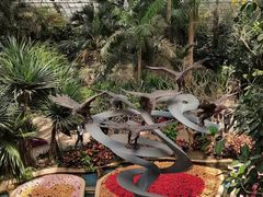 -南山植物园