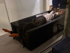 -申普宠物医院·眼科·心内科·影像科(普陀分院)