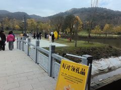 -千年银杏谷文化旅游区
