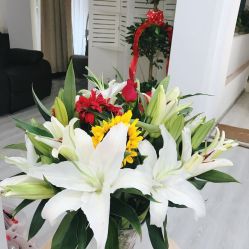 -初NAIL日式美甲美睫沙龙