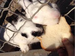 iphone_upload_pic-意大利农场度假村