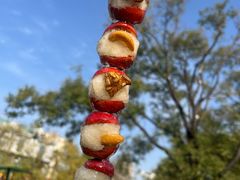 -糖葫芦王保定名吃(古莲花池店)