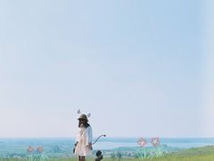 -恋山坝上草原
