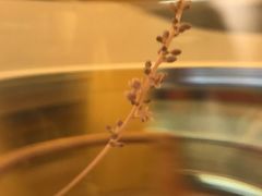 -碧露轩·大益茶体验馆(镇江路店)