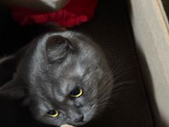 -麦当劳(展览路店)