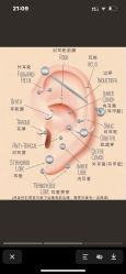 -焰针刺青纹身.手工穿孔饰品·中国刺青名店