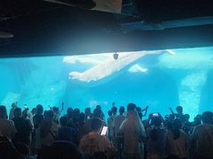 -海合安武汉极地海洋公园
