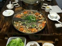 -鸭嘴鱼