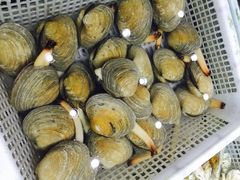 -海岛渔村大酒店(云霄路店)