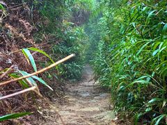 -大罗山风景区