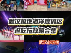 -海合安武汉极地海洋公园