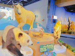 -陕西自然博物馆