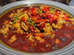 -美蛙四季(望京凯德茂店)