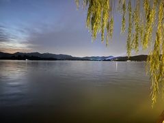 -柳莺湖上·湖景餐厅·江南菜(西湖店)