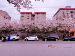 -永乐路-路侧停车场