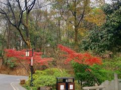 -岳麓山风景名胜区