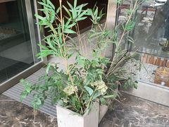 -茶去咖啡屋(武侯祠店)