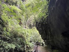-龙水峡地缝景区