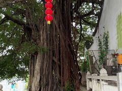 -乌山风景区