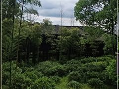 -大唐贡茶院