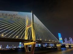 -武汉知音号