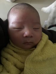 -龙文宝贝上门婴儿理发满月剃胎毛(浦东店)