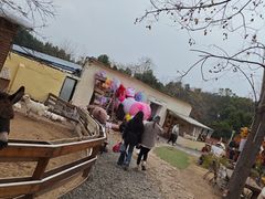 -HERRE·FARM 赫尔露营农场·团建聚会包场