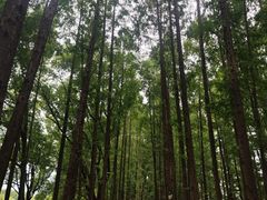 -范蠡湖公园