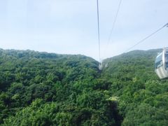 -普陀山风景区-佛顶山