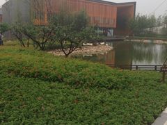 iphone_upload_pic-田园东方蜜桃村的田野营地