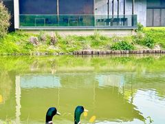 -木守西溪溪隐餐厅