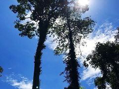 -乌鲁淡布隆国家公园