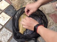 -酷鱼垂钓CLUB(朝阳区博大路店 )