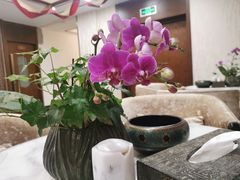 -颐而康·按摩·艾灸·足疗(武陵大道店)