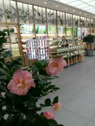 -悦诗风吟innisfree