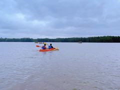 -上海海湾国家森林公园