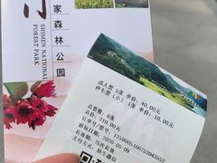 -广州市石门国家森林公园