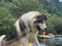 -千岛湖九龙溪漂流