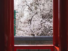 -颐和园
