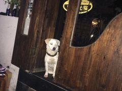 -小岛98(小岛酒吧)