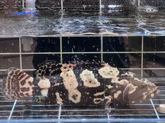-儒林第·家常菜(科学大道店)