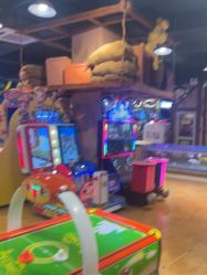 -卡通尼·Safari非洲探索乐园·生日会(金桥国际商业广场店)