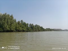 -大亚湾红树林城市湿地公园